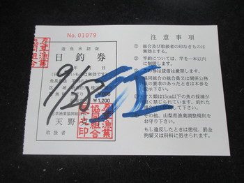 190928忍野 (1).JPG