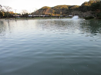 191110秋川湖 (15).JPG