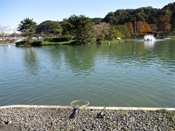 191110秋川湖 (6).JPG