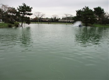 191113秋川湖 (15).JPG