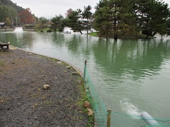 191113秋川湖 (38).JPG