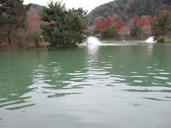 191113秋川湖 (49).JPG