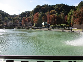 191117 秋川湖 (19).JPG
