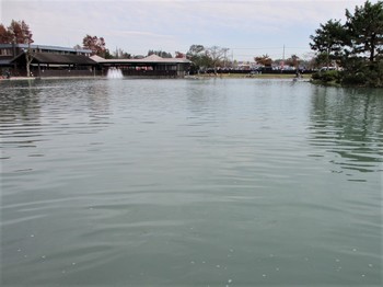 191201秋川湖 (2).JPG