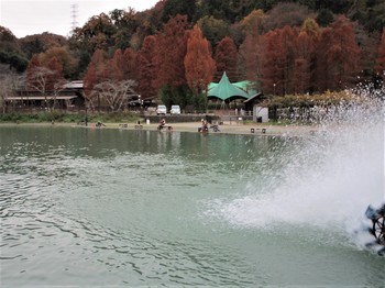 191207秋川湖 (14).JPG