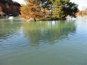 191218秋川湖 (18).JPG