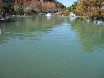 191229秋川湖 (10).JPG