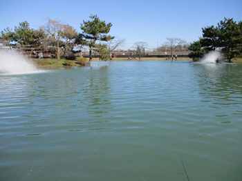 191231秋川湖 (12-1).jpg