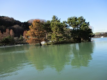 191231秋川湖 (21).JPG