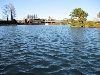 191231秋川湖 (24).JPG