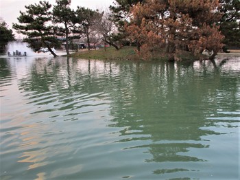 200113秋川湖  (33).JPG