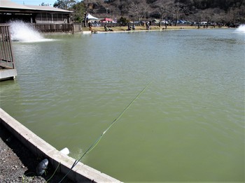 200201秋川湖 (2).JPG