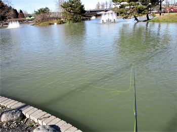 200201秋川湖 (8).JPG