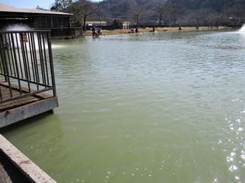200205秋川湖 (2).JPG