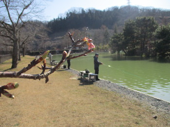 200208秋川湖 (24).JPG