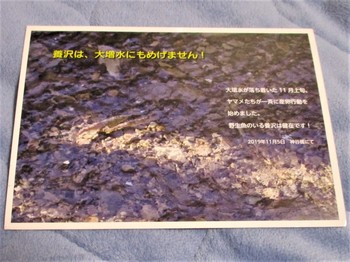 200214養沢 (6).JPG