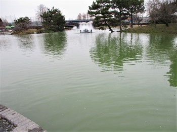 200215秋川湖 (2).JPG