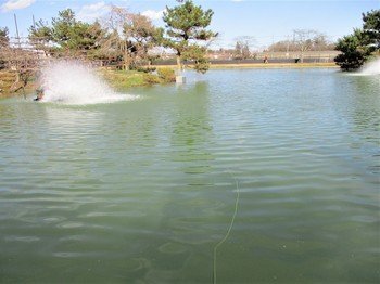 200218秋川湖 (18).JPG