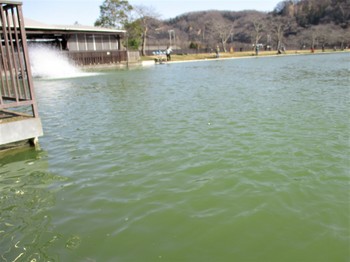 200221秋川湖 (27).JPG