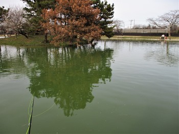 200228秋川湖 (16).JPG