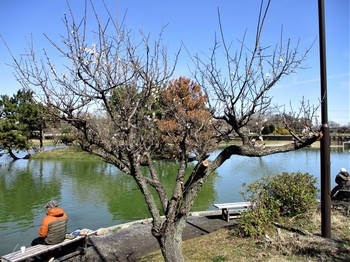 200228秋川湖 (2).JPG