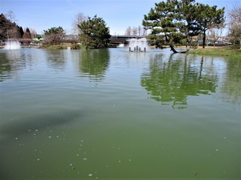 200228秋川湖 (6).JPG