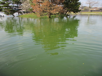 200307秋川湖 (25).JPG