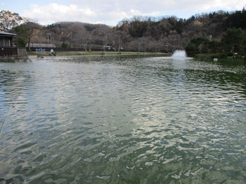 200311秋川湖 (23).JPG