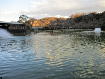 200311秋川湖 (39).JPG