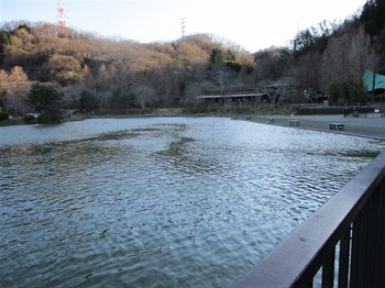 200316秋川湖 (27).JPG