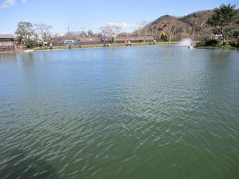 200316秋川湖 (8).JPG