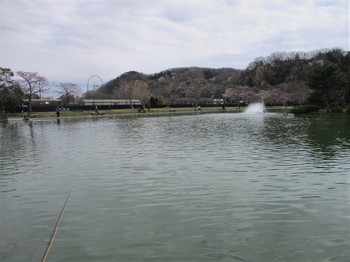 200323秋川湖 (1).JPG