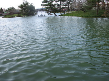 200402秋川湖 (28).JPG