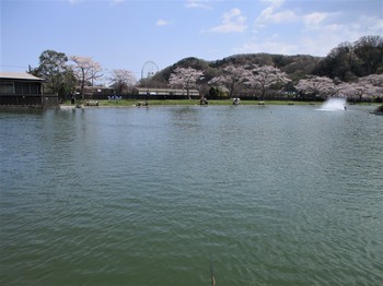 200402秋川湖 (3).JPG
