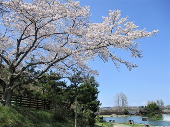 200402秋川湖 (8).JPG