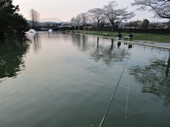 200403秋川湖 (22).JPG