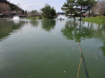 200403秋川湖 (6).JPG