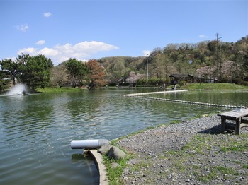 200406秋川湖 (20).JPG