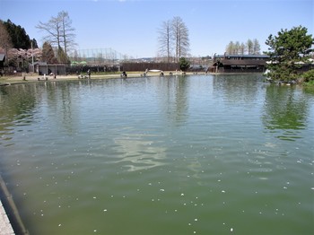 200406秋川湖 (3).JPG
