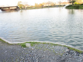 200407秋川湖 (23).JPG
