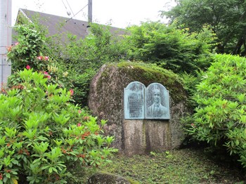 200601養沢 (4).JPG