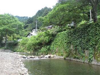 200610養沢 (2).JPG