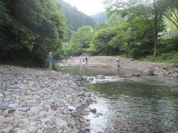 200616養沢 (30).JPG