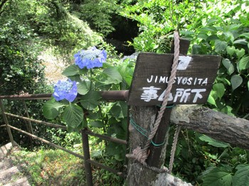 200702養沢 (4).JPG