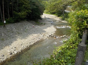200814養沢 (4).JPG