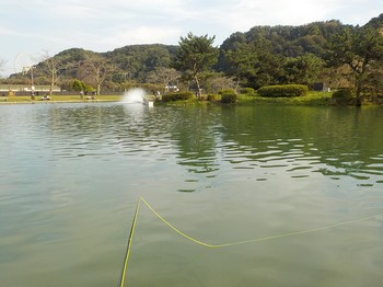 201027秋川湖 (23).JPG