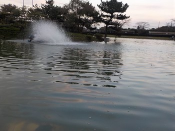 201027秋川湖 (36).JPG