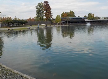 201027秋川湖 (9).JPG