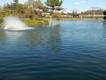 201104秋川湖 (29).JPG