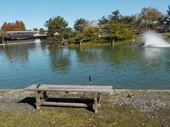 201104秋川湖 (6).JPG